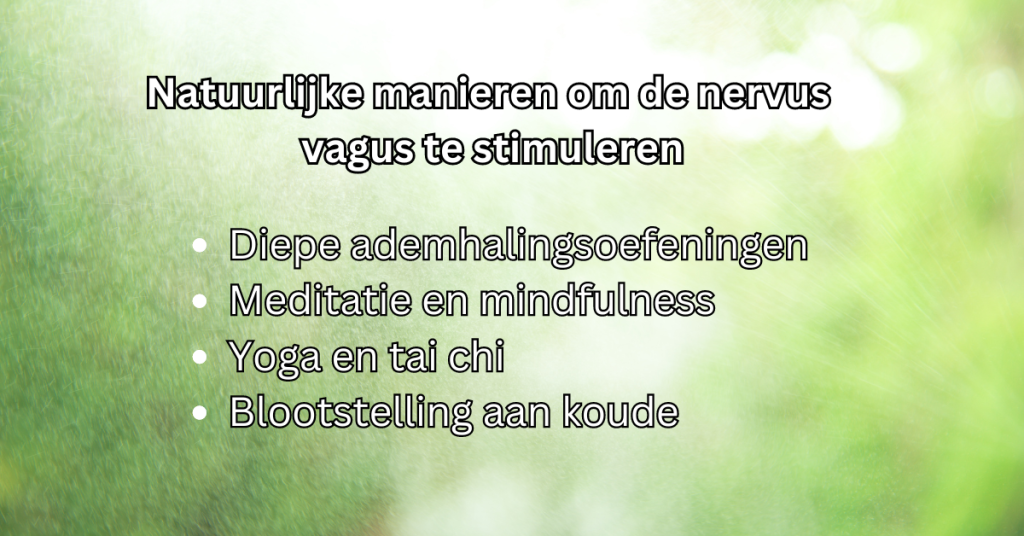 Stimuleer de Nervus Vagus om te Herstellen van een Trauma