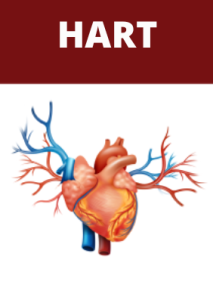 Hart