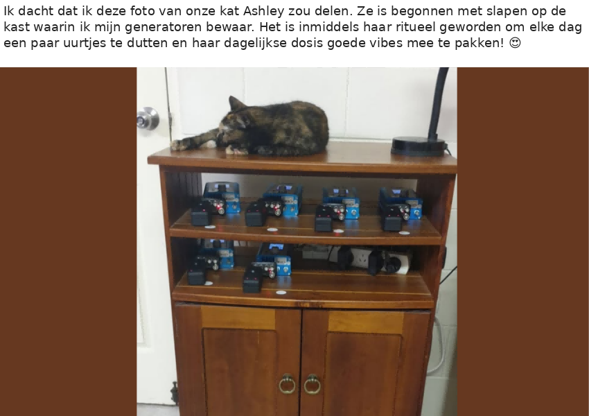 kat_ashley_generatoren_nederlands